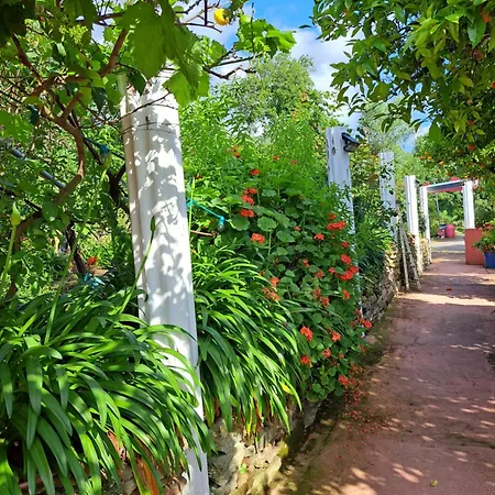 Апартаменты Luccisano *