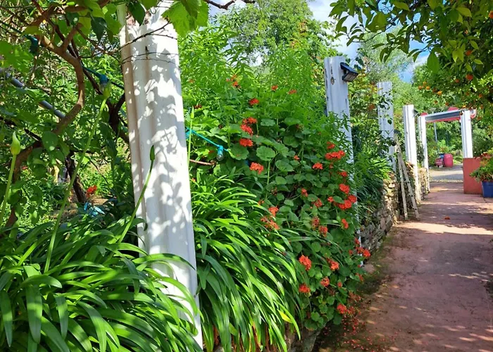 Apartment Luccisano *