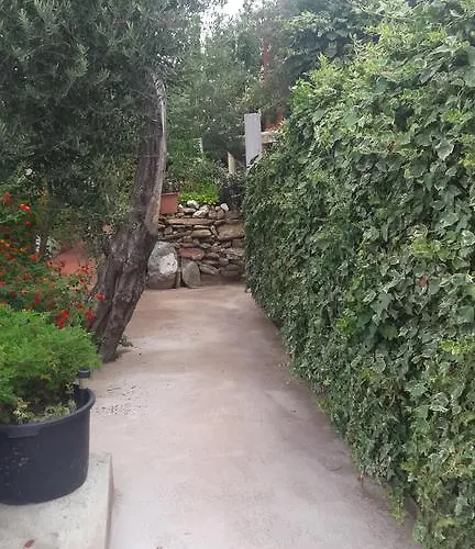 Luccisano * Borgo (Corsica)