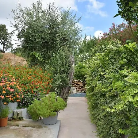Luccisano Apartment