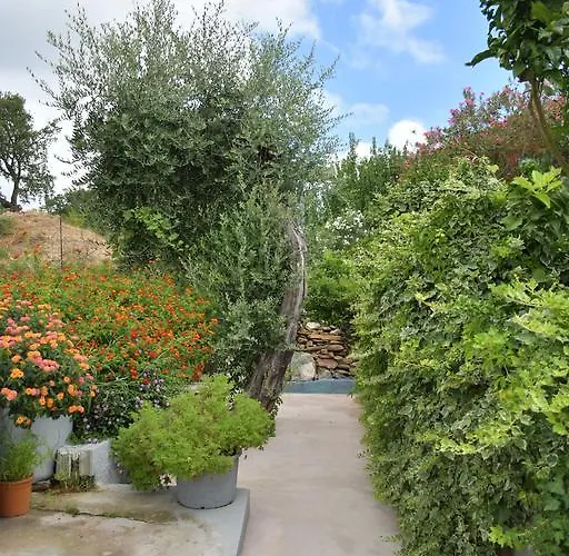 Luccisano Appartamento