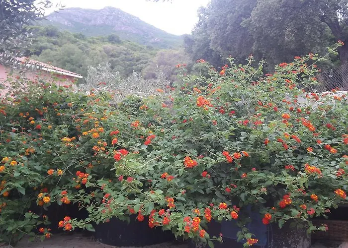 Appartamento Luccisano